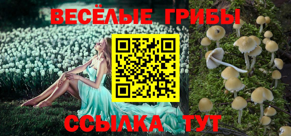 Жигулёвск  Псилоцибиновые грибы ЛСД  Вход с VPN 