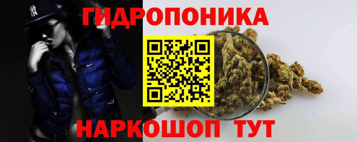 Бошки марихуана сатива Жигулёвск